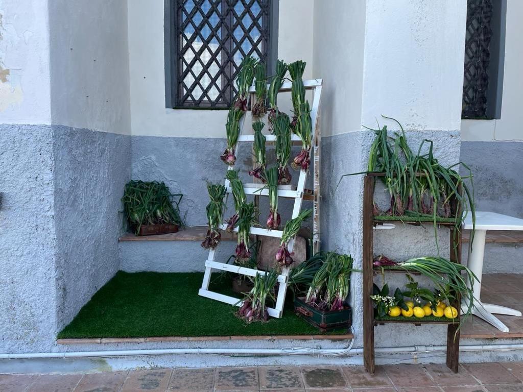 La Locanda Del Convento Тропеа Екстериор снимка